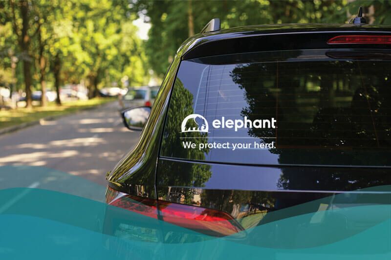 “Elephant